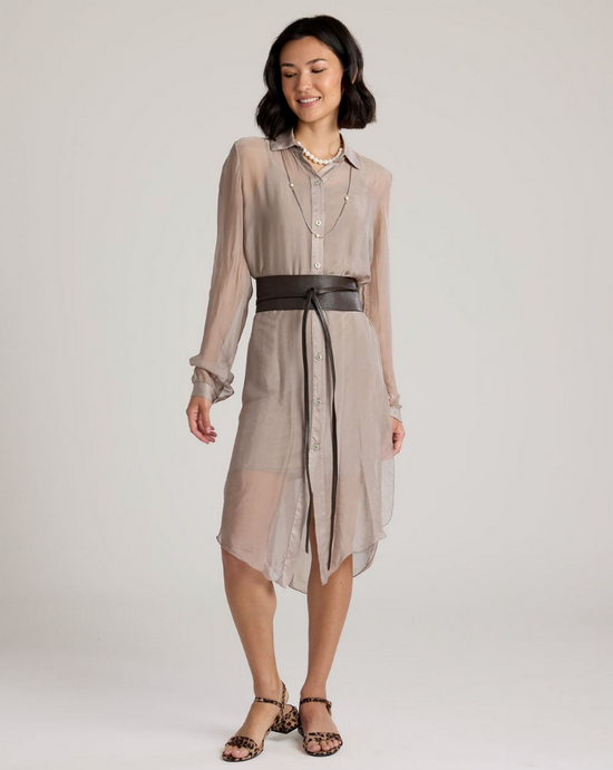 Sofia Silk Dress
